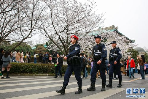 南昌特警持续“接单”帮游客拍照